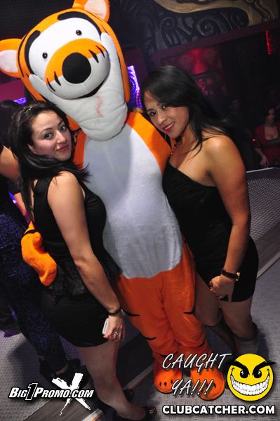 Luxy nightclub photo 277 - November 30th, 2013