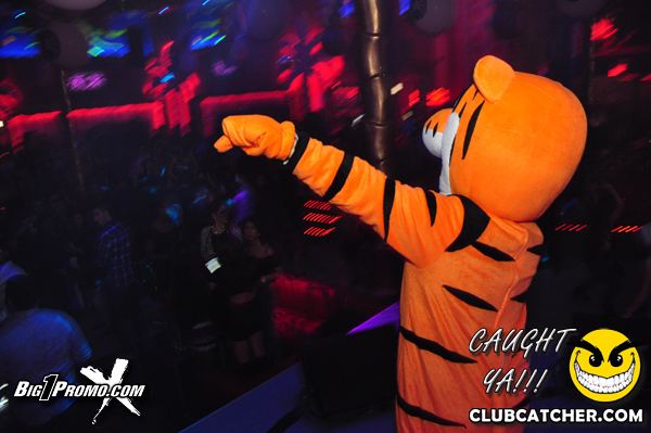 Luxy nightclub photo 97 - November 30th, 2013