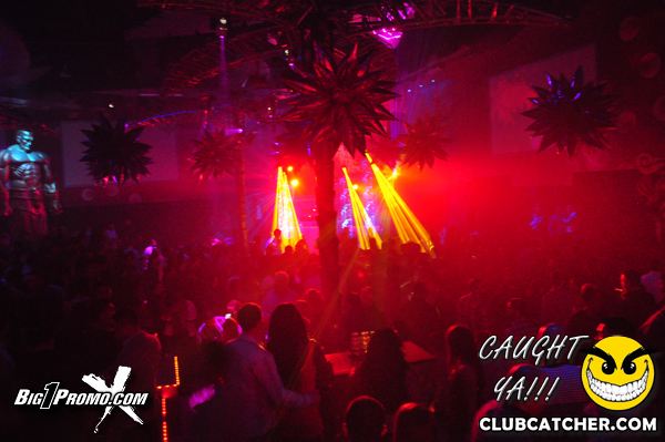 Luxy nightclub photo 147 - January 4th, 2014
