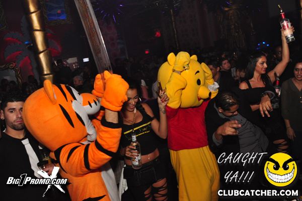 Luxy nightclub photo 154 - January 4th, 2014