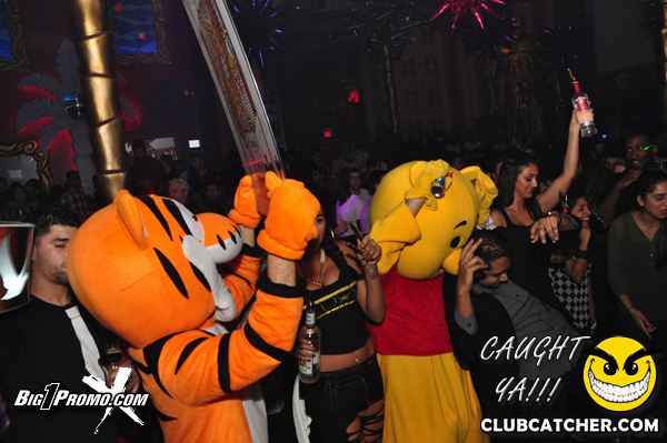 Luxy nightclub photo 191 - January 4th, 2014