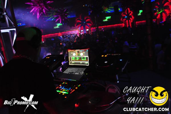 Luxy nightclub photo 28 - January 4th, 2014