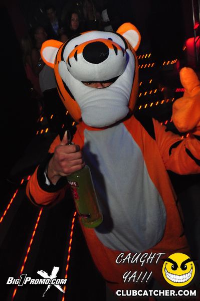 Luxy nightclub photo 39 - January 4th, 2014