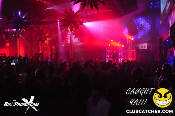 Luxy nightclub photo 95 - January 10th, 2014