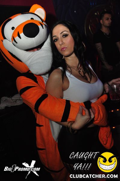 Luxy nightclub photo 53 - January 11th, 2014