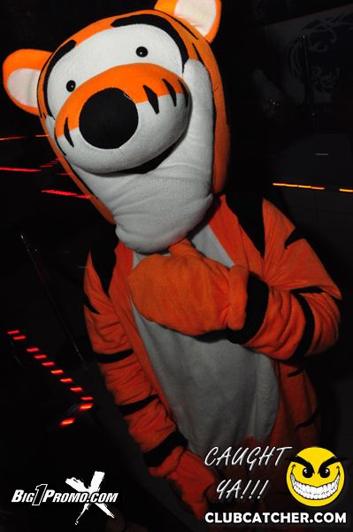 Luxy nightclub photo 54 - January 11th, 2014