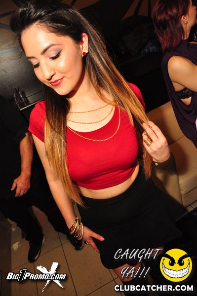 Luxy nightclub photo 11 - January 24th, 2014