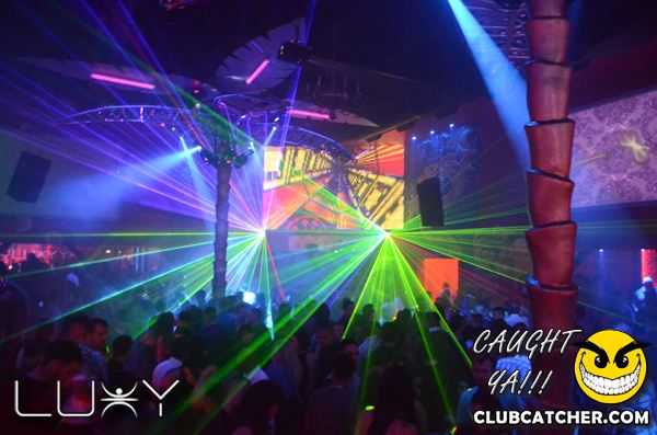 Luxy nightclub photo 471 - November 19th, 2011