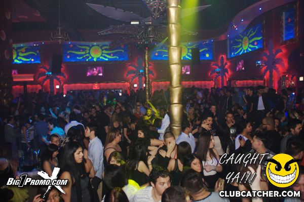 Luxy nightclub photo 62 - February 18th, 2012