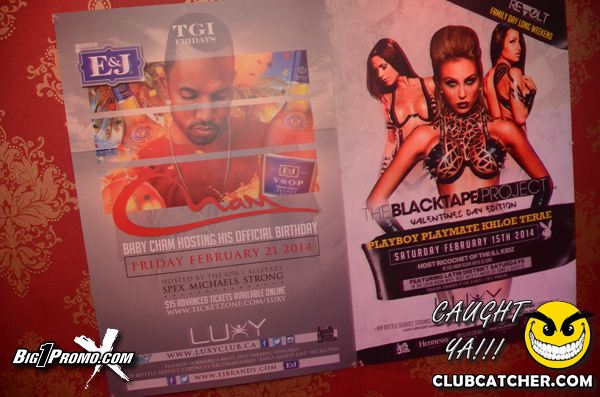 Luxy nightclub photo 388 - February 15th, 2014