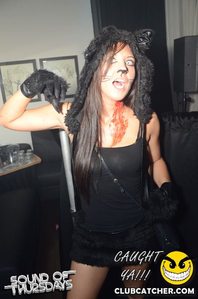 T2 lounge photo 4 - October 31st, 2013