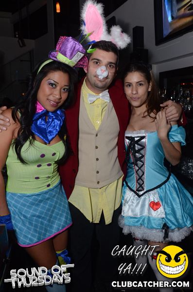 T2 lounge photo 51 - October 31st, 2013