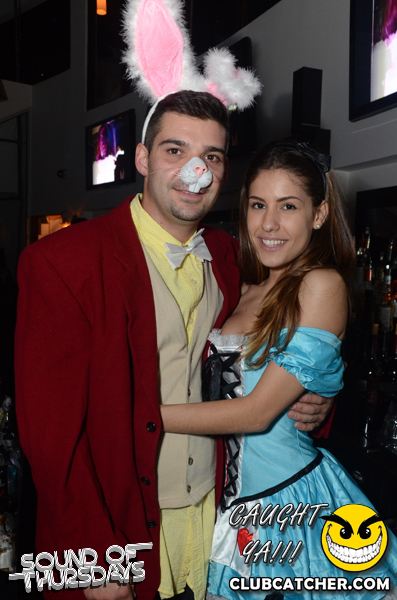 T2 lounge photo 8 - October 31st, 2013