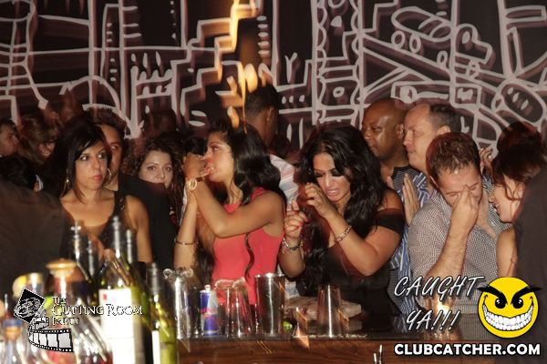 Thompson Hotel party venue photo 64 - August 31st, 2013