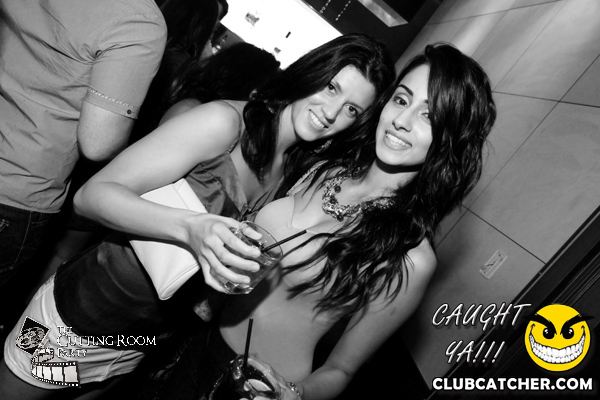 Thompson Hotel party venue photo 82 - August 31st, 2013