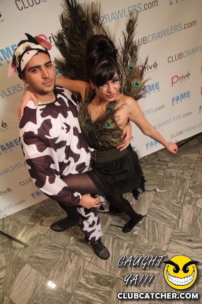 The Sheraton Hotel party venue photo 109 - October 29th, 2011