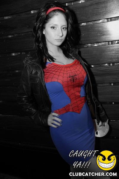 The Sheraton Hotel party venue photo 5 - October 29th, 2011