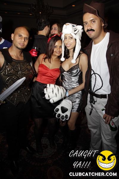 The Sheraton Hotel party venue photo 585 - October 29th, 2011