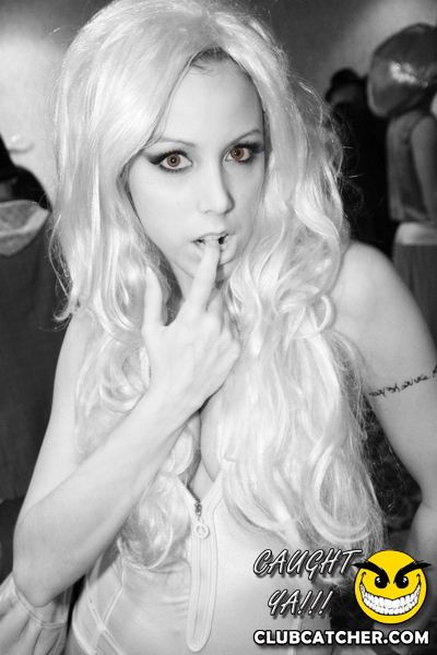 The Sheraton Hotel party venue photo 68 - October 29th, 2011