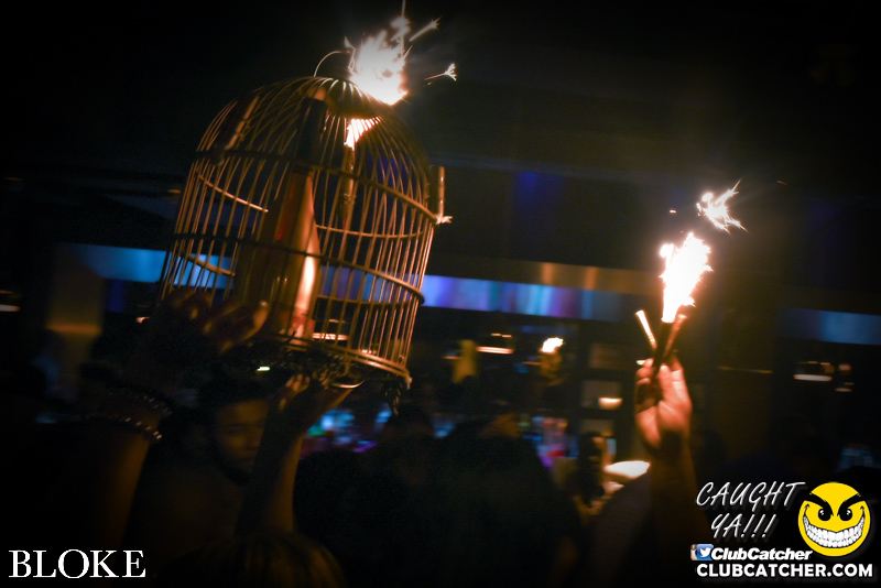 Bloke nightclub photo 48 - August 6th, 2015