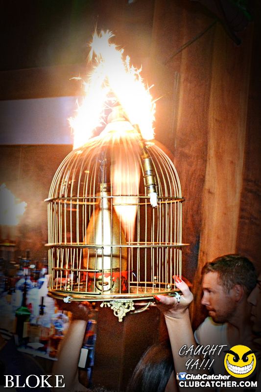 Bloke nightclub photo 20 - August 15th, 2015