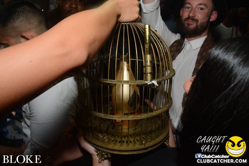 Bloke nightclub photo 59 - August 15th, 2015