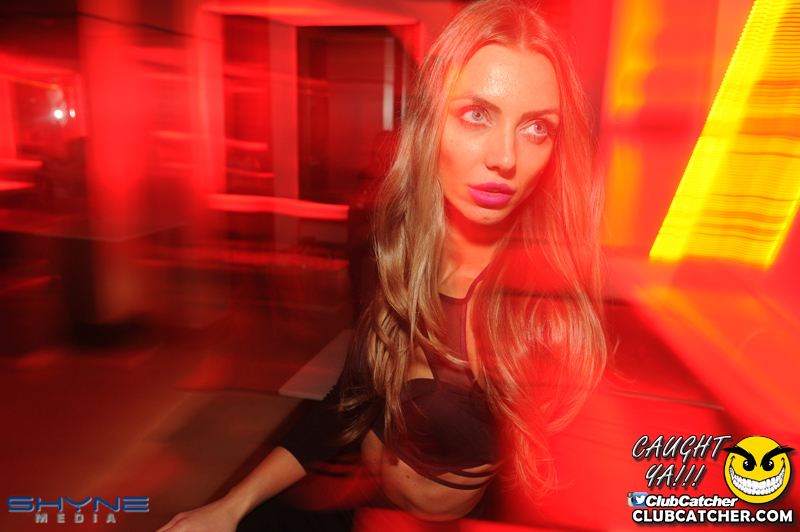 Ace  nightclub photo 53 - September 11th, 2015