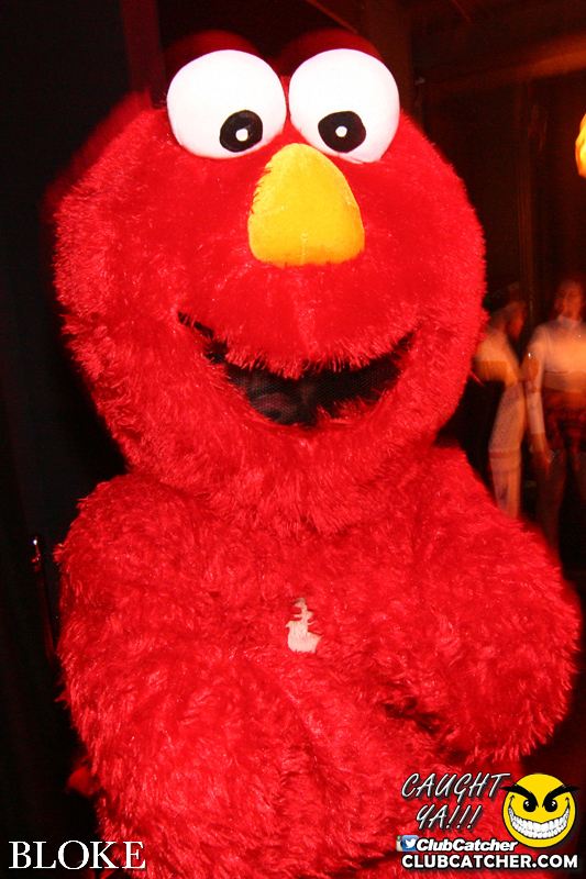 Bloke nightclub photo 55 - October 31st, 2015