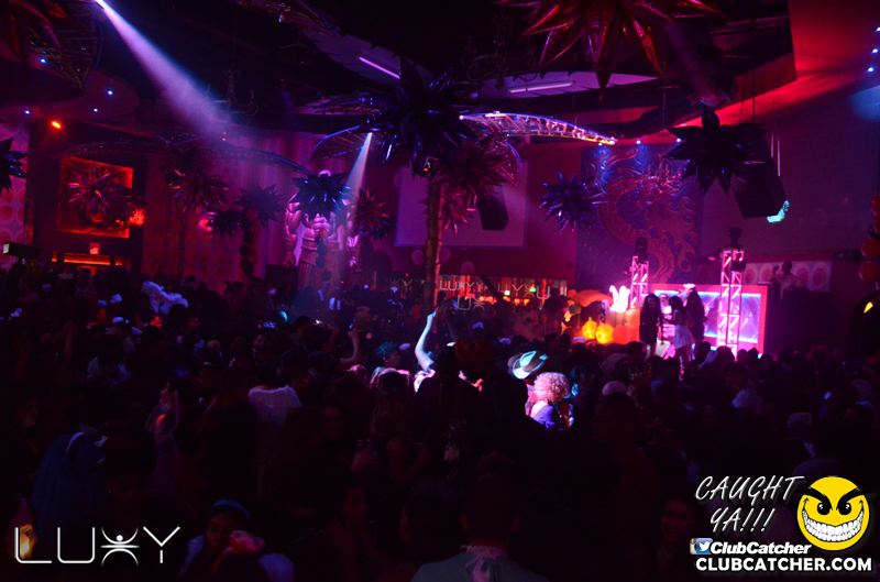 Luxy nightclub photo 40 - October 31st, 2015