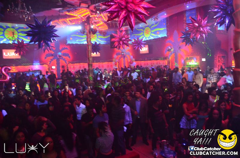 Luxy nightclub photo 27 - January 15th, 2016
