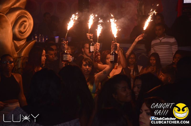Luxy nightclub photo 26 - January 22nd, 2016