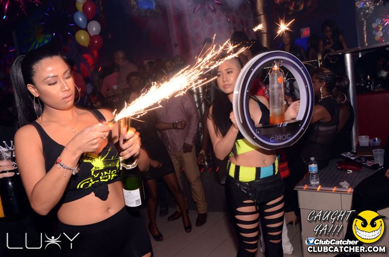 Luxy nightclub photo 11 - January 29th, 2016