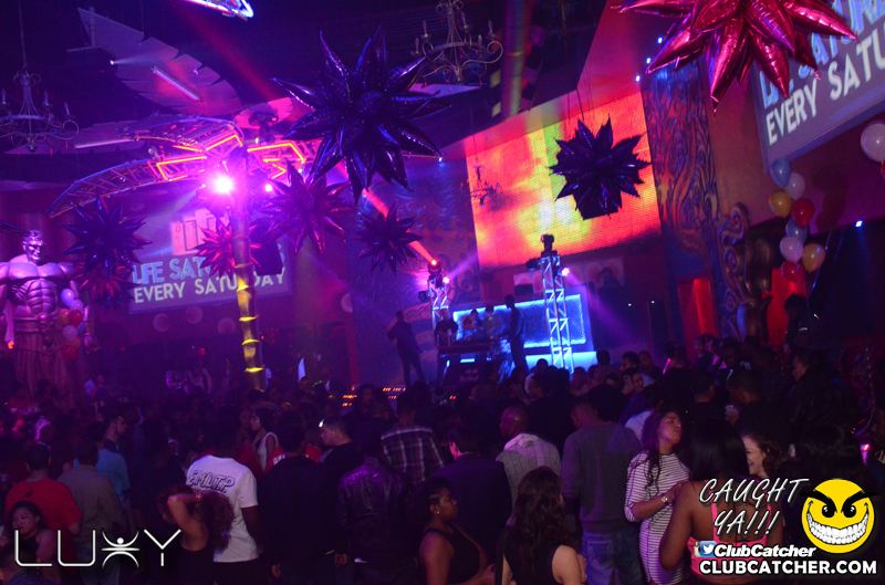 Luxy nightclub photo 21 - January 29th, 2016
