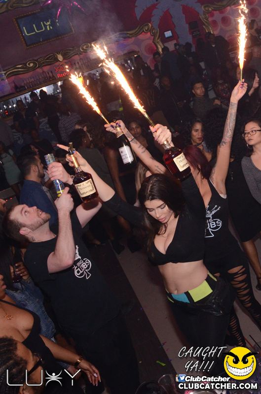 Luxy nightclub photo 27 - January 29th, 2016