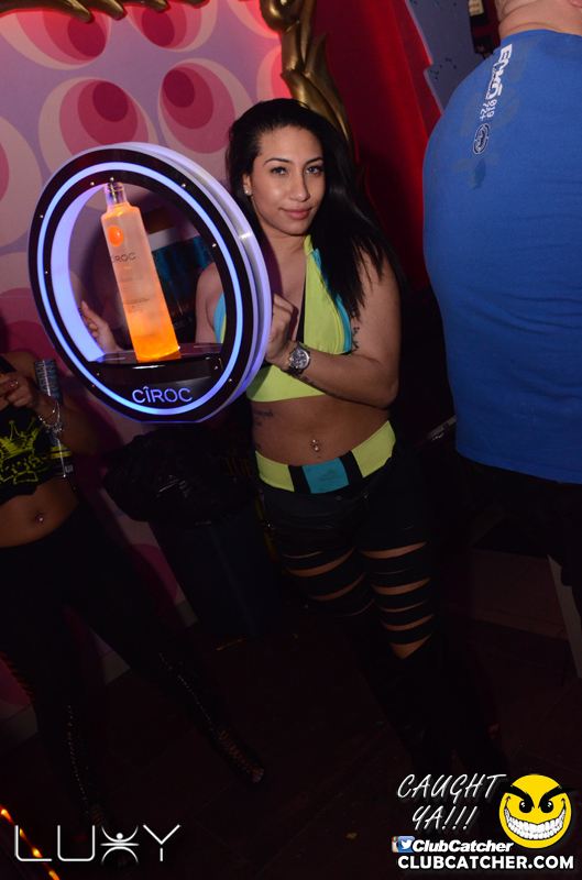 Luxy nightclub photo 27 - January 30th, 2016