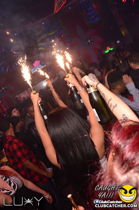 Luxy nightclub photo 147 - February 12th, 2016