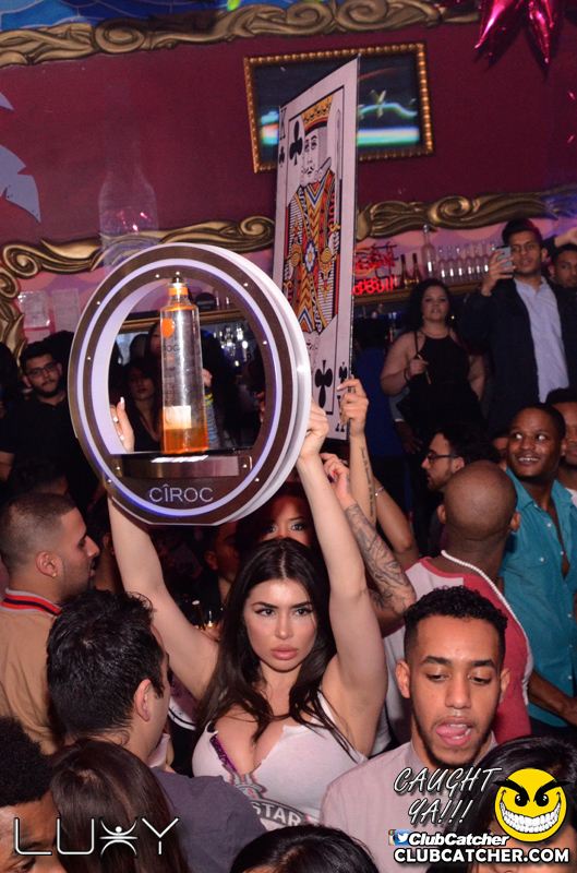 Luxy nightclub photo 252 - February 13th, 2016