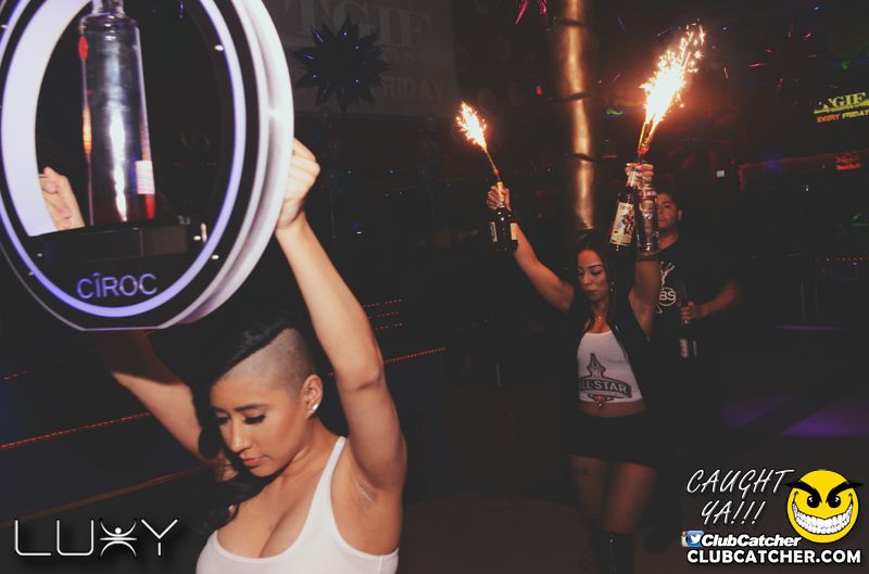 Luxy nightclub photo 61 - February 13th, 2016