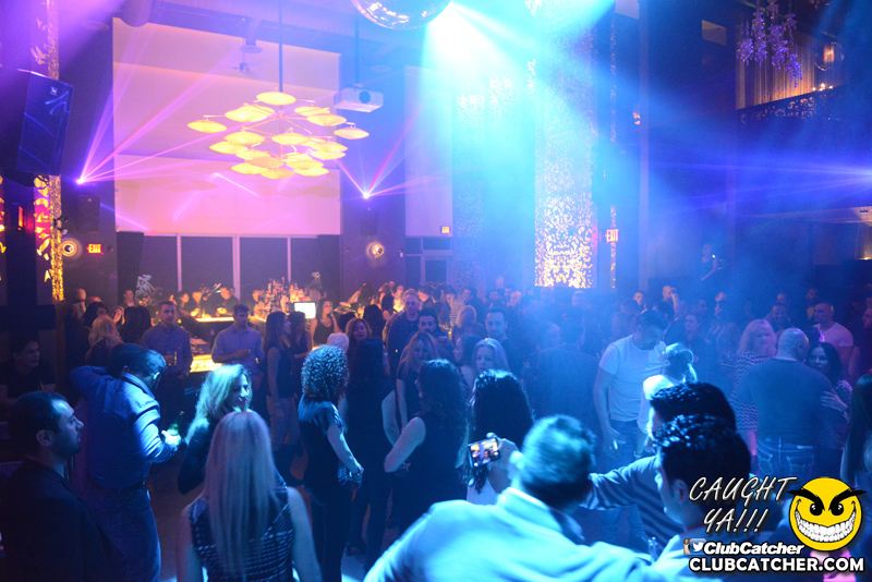 Ivy Social  nightclub photo 36 - March 11th, 2016
