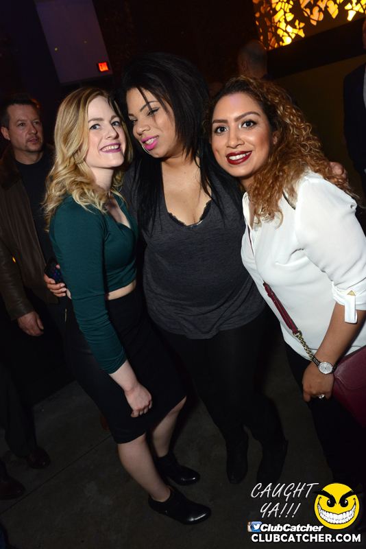 Ivy Social  nightclub photo 44 - March 11th, 2016