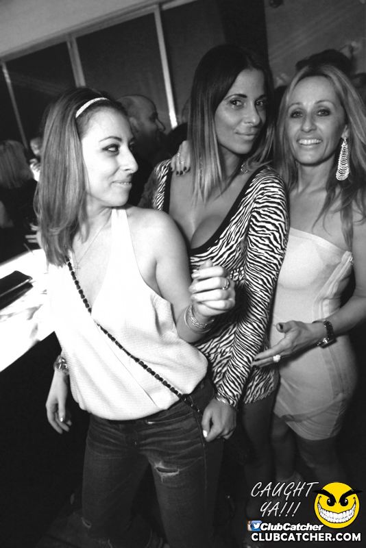 Ivy Social  nightclub photo 49 - March 11th, 2016