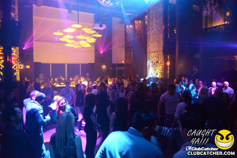 Ivy Social  nightclub photo 72 - March 11th, 2016