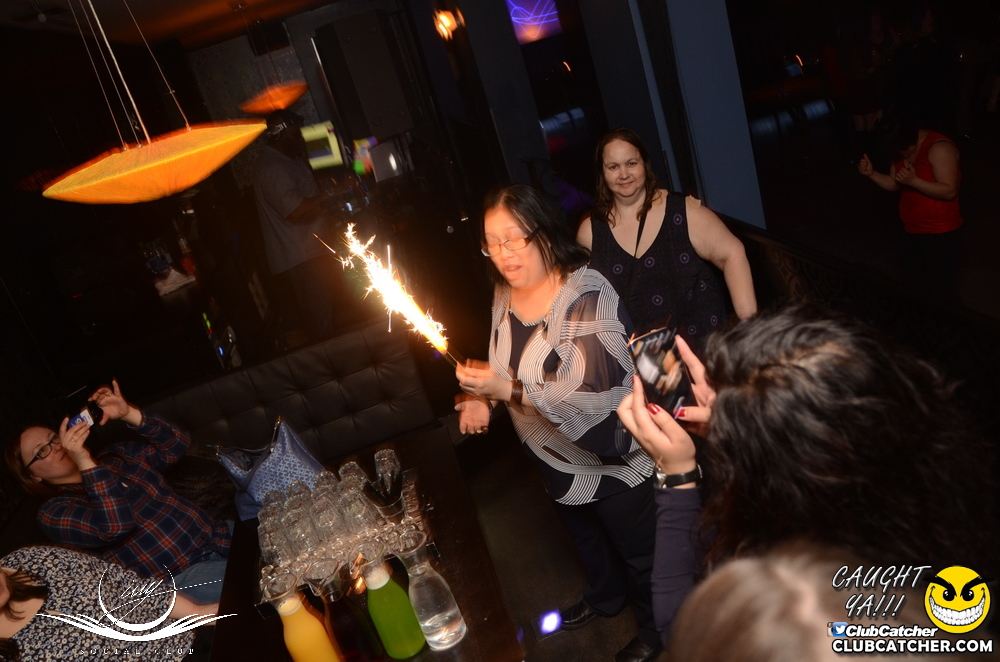 Ivy Social  nightclub photo 64 - April 2nd, 2016