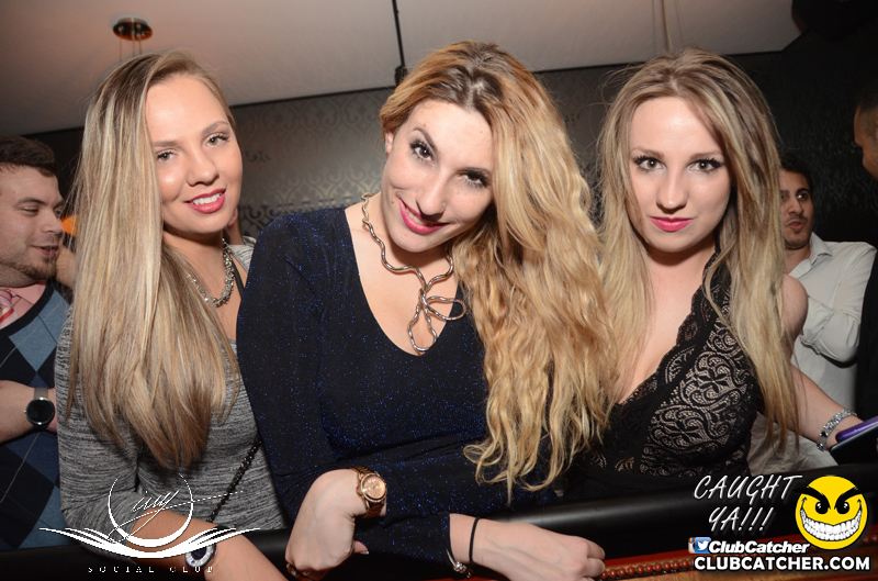Ivy Social  nightclub photo 13 - April 1st, 2016