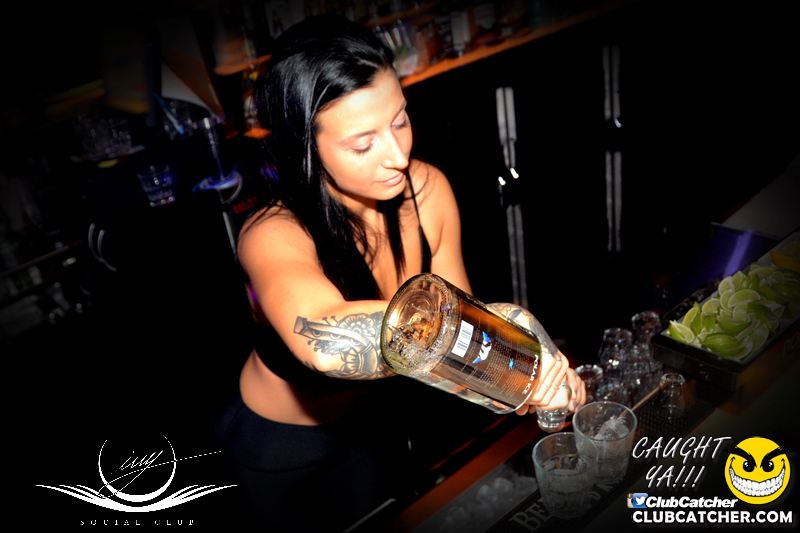 Ivy Social  nightclub photo 3 - April 8th, 2016