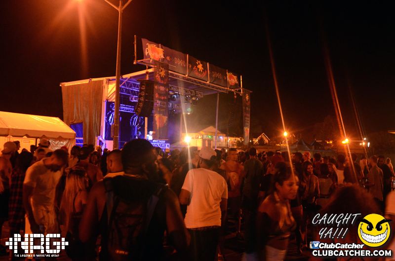 Pangea festival photo 156 - September 6th, 2015