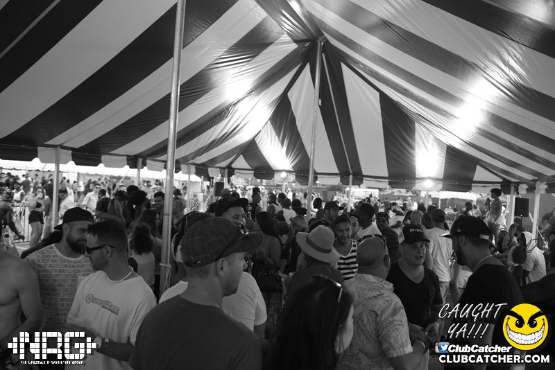 Pangea festival photo 242 - September 6th, 2015