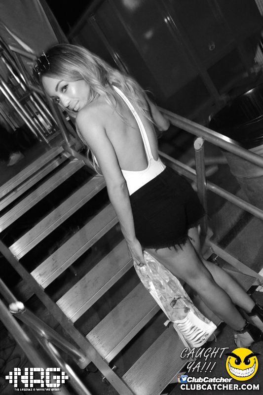 Pangea festival photo 274 - September 6th, 2015