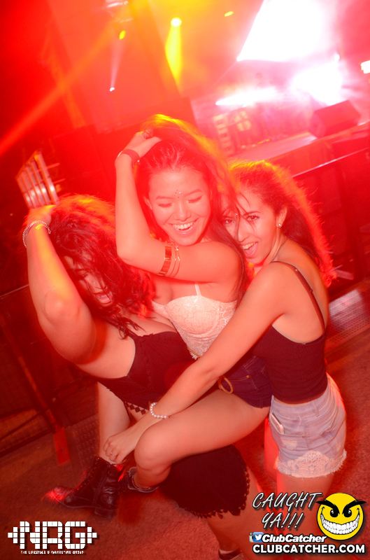 Pangea festival photo 351 - September 6th, 2015