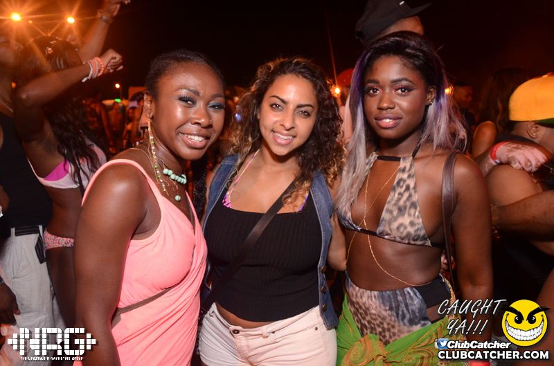 Pangea festival photo 391 - September 6th, 2015